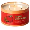AOOVOO Apple Cinnamon Candle - 3 Wick 12oz Large Fall Candles, Soy Wax Strong Scented Candle Non Toxic, Long Lasting Aromatherapy Candle for Home, Holiday Gift for Women Men