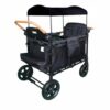 Aosekaa Twin Infant Carriage Wagon Push Cart with Canopy and Airy Mesh Seat Or Recline Options Utility Pockets and Strong Frame Suitable for School Runs Town, Black, Black, Two-Seater