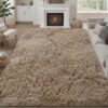 Area Rugs Living Room，Soft Dinning Room Rug，Machine Washable Area Rug，Non-Slip Rug Carpet，Applicable to Office Decor Aesthetic