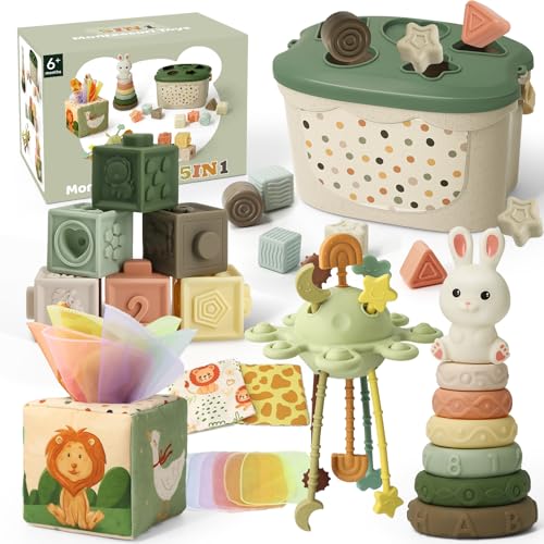 Auezona Baby Toys 6 to 12 Months, Montessori Toys for 6-9-18 Months with Shape Sorter Developmental Toys, Baby Blocks, Tissu Learning Sensory Toys Gift for 6-36 Months Girls Boys Infant Toys