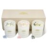AvaConcept Healing Crystal Candle Gift Set – Set of 3 Celestite, Rose Quartz & Moonstone Hand-Poured Soy Wax Sea Salt Driftwood, Blackcurrant Rose & Amber Noir Aromatherapy Scents Premium Gift Box