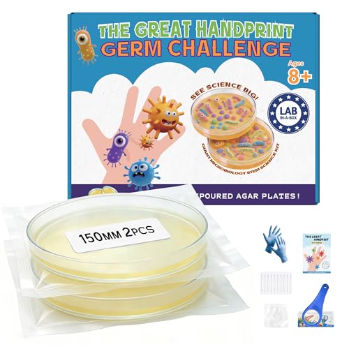 Bacteria Handprint Kit for Kids | 2 Giant 150mm Pre-Poured Agar Petri Dishes Science Fair Project | Microbiology Experiment Set with Magnifying Glass and Sterile Swabs | STEM Educational Gift