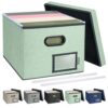 BALEINE File Organizer Box with Lid, Collapsible File Folder Organizer with Plastic Slide, Filing Box for Office Home Document Organizer Storage (Green, 1PK)
