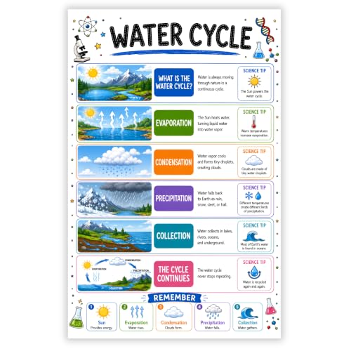 banner4you Water Cycle Classroom Poster, Science Classroom Decor, Water Cycle Chart for Elementary & Middle School, Earth Science Wall Art, STEM Teacher Classroom Decoration, 11x17 Inch Unframed