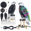 BANRIA DIY Eagle Bird Sound Soldering Practice Kit – Bald Eagle Soldering Project with 10 Realistic Bird Calls & Flashing RGB LED Lights, Educational STEM Electronics Project for Teens & Adults
