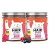 Bears with Benefits Biotin 5,000 mcg Hair Skin Nails Gummies – Extra Strength Vegan Hair Vitamins – Supports Faster Hair Growth, High Potency, Stronger Nails & Healthy Skin (2 Count (Pack of 90))