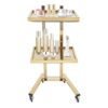 BGSHKAL Stainless Steel Salon Rolling Cart 2 Tier Hair Salon Equipment
