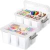 Bienvoun 17QT 2Packs Clear Marker Organizer – 6 Detachable Inserts, Stackable Craft Organizers and Storage, Art Supply Organizer for Markers, Crayons, Pencils, Pens and Craft Supplies