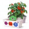biilog Cherry Tomato Grow Kit, Dwarf Tomato Plant Growing Kit with Zinc Metal Planter, Coconut Coir Growing Medium & Gardening Tools, Indoor Vegetable Garden Kit for Kitchen Countertop, Patio & Home