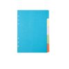 Binder Dividers, 2 Sest 5Pcs/Set Colorful Thick Paper Separator Rings Notebook (Color,A6)