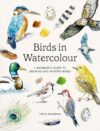 Birds in Watercolour: A Beginner's Guide to Drawing and Painting Birds