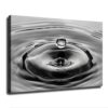 Black and White Water Drop Ripple Minimal Abstract Liquid Macro Canvas Wall Art Gallery Wrapped Decor for Office Bathroom Modern Simple (24x36Inch Frame)