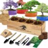 Bonsai Tree Kit, Bonsai Starter Kit with Seeds & Tools, Tree Live Plants Indoor, Gardening Gifts for Women Men Mom Father Plant Lover, Birthday Gifts for Women, Father Day Gifts