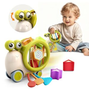 BYFWH Shape Sorter & Sorting Blocks, Sensory Toddler Toy with Snail Push Car Montessori Sorting Blocks & Snail Push Car, Develops Fine Motor & Sensory Skills, Safe BPA-Free Toy for 18+ Months