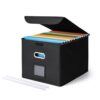 CADONO File Organizer Box with Lid, Large Hanging File Folder Organizer with Plastic Slide, Collapsible Portable Filing Storage Boxes for Office/Decor/Home (Black, 14.9 x 12.59 x 10.8 inch)
