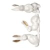 CAIFAP Lovely Group of Animal Sculptures to Brighten Your Living Area Or Offices