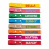 CALLIE Personalized Luggage Tags for Suitcases