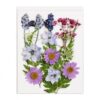 CarpNettore Children Paper Crafting papermaking Dried Flower Sets Glue Bottles Paper Pulp Bags Suitable for Craft workshops Activities, Pale Lavender Flowers, Lavender