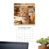 Cats Calendar 2027 Funny Schedule Organizer Planner