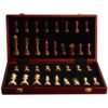 Chess Folding Wood Chess Set with Storage Tournament-Size Portable Chess Board for Adults Travel Gifts