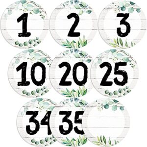 Chinco 40 Pieces Eucalyptus Laminated Numbers Cutouts Line up Spots for Classroom Decor, Blank and 1-35 Greenery Number Cutouts with 40 Adhesive Glue Point Dots, Bulletin Board for Back to School
