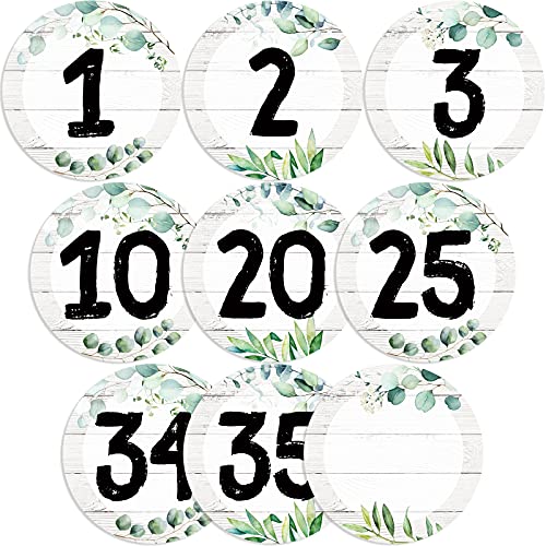 Chinco 40 Pieces Eucalyptus Laminated Numbers Cutouts Line up Spots for Classroom Decor, Blank and 1-35 Greenery Number Cutouts with 40 Adhesive Glue Point Dots, Bulletin Board for Back to School