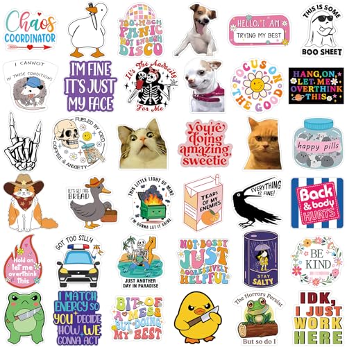 Chivertion 400 Pcs Funny Stickers for Adults Waterproof Vinyl Sarcastic Stickers Meme Decals for Water Bottles, Laptop, Phone, Hard Hats, Journal, Scrapbook