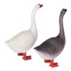 Chiyyak Cute Goose Ornament Set, Non-Toxic PVC Plastic Farm Animal Toys for Kids Collection (Grey Goose + White Goose 2 Pieces Per Pack)