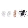 Chiyyak Realistic Insect Life Cycle Figures for Education, Mosquito and Ant Growth Models, 4 Vinyl Toys (#2)