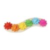 Chosertory Busy Board Gear Toy Sensory Toy Preschool Fine Motor Skills Rainbow Teaching