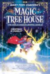 Christmas in Camelot Graphic Novel (Magic Tree House Merlin Mission)