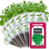 Cilantro Seed Pods for All Hydroponics Growing Systems, 12 Pods Herb Kit with 200+ Seeds of Cilantro, Grow Your Own Herb Garden at Home