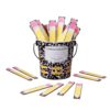 Classroom Name Sticks Crayon Desk Decor with Metal Bucket Holder