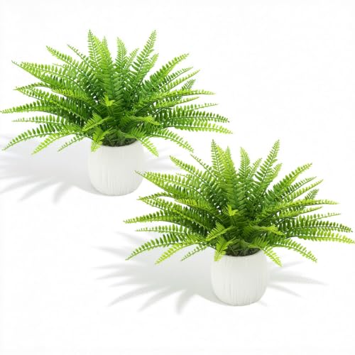 COEWUR Small Fake Plant 15" Fake Potted Fern Artificial Potted Plants Desk Plant Faux Plants Indoor Small Fake Fern for Shelf Bathroom Home Office Kitchen Coffee Table Indoor Decor