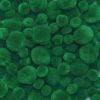 Colorations Green Super Fluffy Soft Acrylic Single Color Pom Poms, Set of 100, 3 Sizes, Resealable Bag, for Kids, Arts & Crafts, DIY Crafts, Hobby Supplies, Creative Craft DIY Material