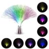 Color Changing LED Fiber Optic Night Light Lamp, Beautiful Romantic Design for Bedroom Decor, 8 * 8 * 33.5cm, Battery Powered (Silver)