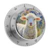 Color Sheep Digital Magnetic Kitchen Timer Visual Timers