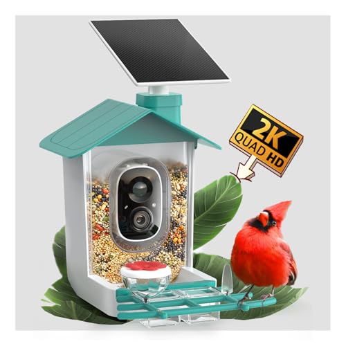 COOAU 2K Smart Bird Feeder with Camera, Faster Solar Powered Charging, Outdoor Birdhouse Cam with Precise AI Birds Recognition, Live Video Watching and Notifications, Ideal Gift for Bird Lovers, Blue