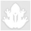 Coqui Boricua Frog White Vinyl Sticker Puerto Rico Souvenir Weather Proof Clear Die Cut Decal