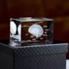 Crystal 3D Inner Engraved Anatomy Model - Human Heart Lung Skeleton Tooth Brain, 2x2x3.1 inches Paperweight - for Home or Office and Display