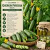 Cucumber Gherkin Parisian Seeds – Heirloom Pickling Variety for Planting