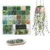 Cxomnndiw DIY Beaded Plant & Bracelet Making Kit, Assorted Beads, Green Glass Flower & Leaf Styles with 2 Types of Beading Wires