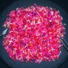 Dark Pink Hearts with Pearls Fake Polymer Clay Sprinkles 10g & 20g (10g)
