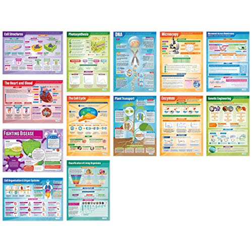 Daydream Education Educational Science Posters – Set of 13 Biology Posters – EXTRA LARGE 33” x 23” Laminated Classroom Poster for Middle School & High School – Science Classroom Decor