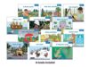 Decodable Readers Book Set: Short Vowels, Consonant Blends, and Digraphs 24-Titles | Reading Age 5-8 | Grade Level 1 | Benchmark Education (Newmark Decodable Readers)