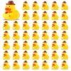 Deekin 100 Pcs Cowboy Rubber Ducks with Hat Western Mini Duckies for Wild West Party Favors Birthday Swimming Party Gift Favor,2.1 x 2 x 1.9 Inches