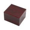 Deevoka Single Watch Jewelry Box Jewelry Organizer Case Earring Container Jewelry Box Watch Storage Travel Case for Necklace Bracelet