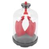 Denash Lung Breathing Demonstration Model – Diaphragm Movement Simulator for Biology Teaching, Transparent Chest with Rubber Lung Sacs, Compact 7.28x4.33in