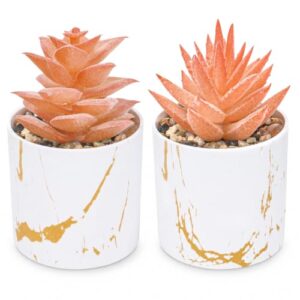 Der Rose Set of 2 Fall Artificial Succulent Plants, Mini Fake Succulents, Fall Decorations for Office Desk Bathroom Shelf Bedroom, Thanksgiving Decor