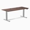 Desky Standing Desk, 72 x 30 inches with Grommets Softwood Height Adjustable Sit Stand Desk, Dual Motor, Memory Presets, Ergonomic Workstation for Home Office - American Rustic Pine Top